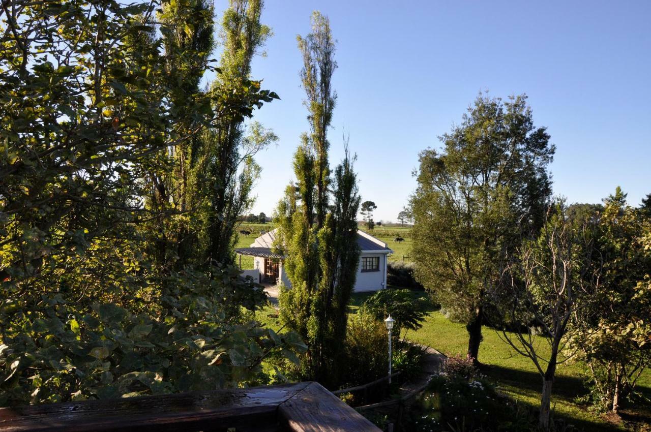Tsitsikamma Gardens Cottages Self-Catering Cottages Sanddrif Екстер'єр фото